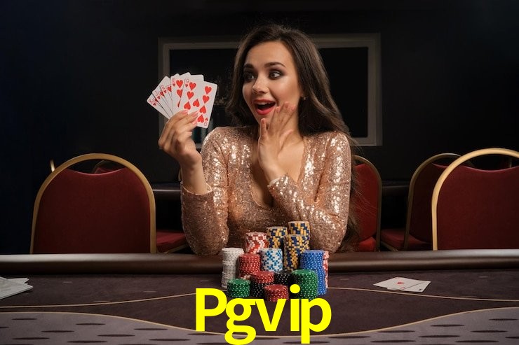 Experiência VIP Pgvip
