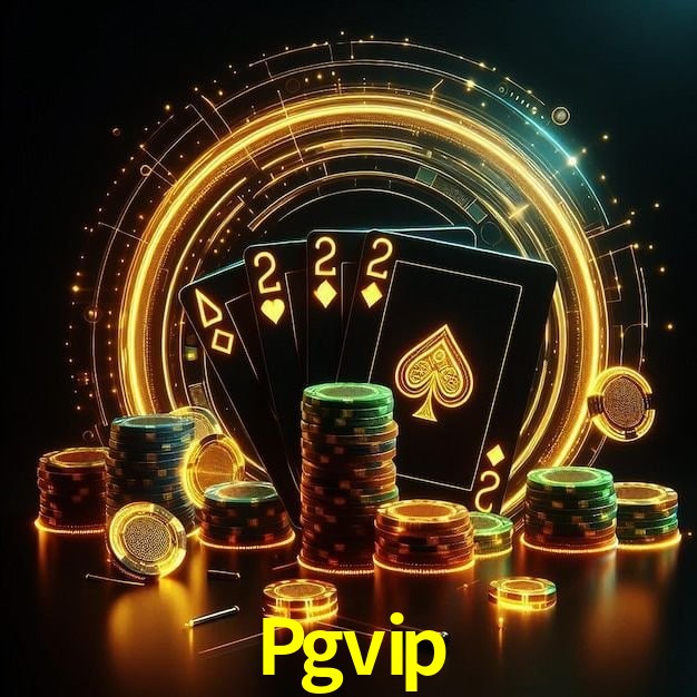 Experiência VIP Pgvip
